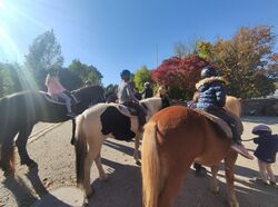 Gruppenbild mit Pferd und Reiter