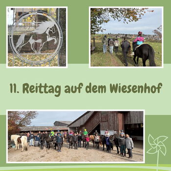 Reittag auf dem Wiesenhof