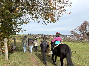 Reittag auf dem Wiesenhof